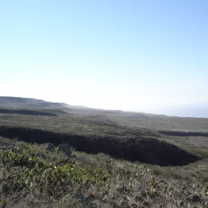 San Clemente Island, SBBG Research 2007