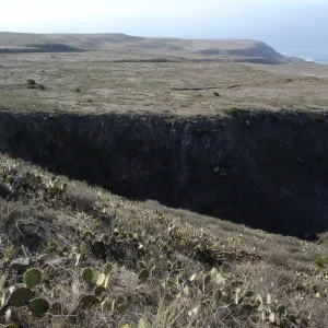 San Clemente Island, SBBG Research 2007