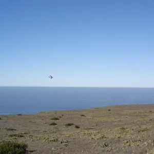 San Clemente Island, SBBG Research 2007