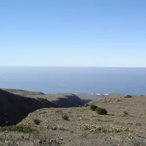 San Clemente Island, SBBG Research 2007