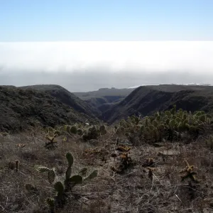 San Clemente Island, SBBG Research 2007