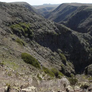 San Clemente Island, SBBG Research 2007