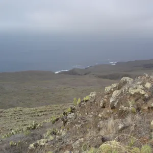 San Clemente Island, SBBG Research 2007