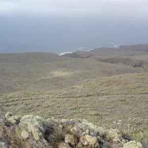 San Clemente Island, SBBG Research 2007