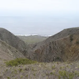 San Clemente Island, SBBG Research 2007