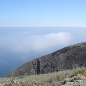San Clemente Island, SBBG Research 2007