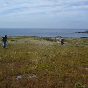 San Clemente Island, SBBG Research 2005