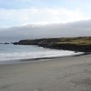Horse Beach Cove, San Clemente Island, SBBG Research 2005