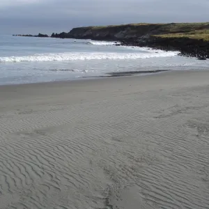 Horse Beach Cove, San Clemente Island, SBBG Research 2005