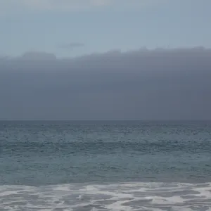 maritime fog, San Clemente Island, SBBG Research 2005