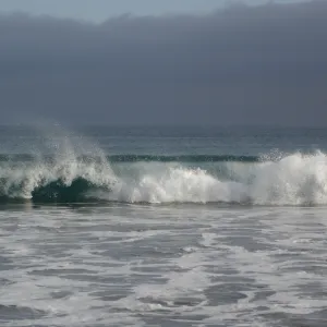 breaking waves, San Clemente Island, SBBG Research 2005