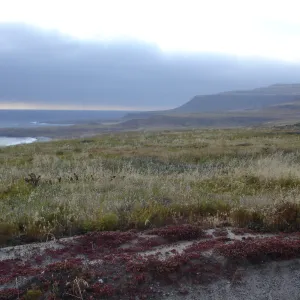 San Clemente Island, SBBG Research 2005