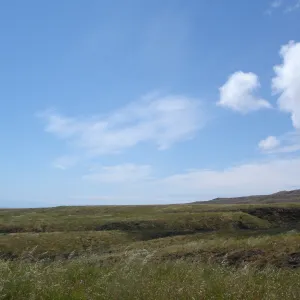 San Clemente Island, SBBG Research 2005