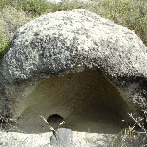 San Clemente Island, SBBG Research 2005