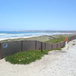 railroad at Surf beach, Vandenberg, SBBG Research 2005