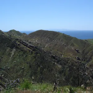 Gaviota burn site, SBBG staff field trip 2005, view to Santa Rosa and San Miguel Islands