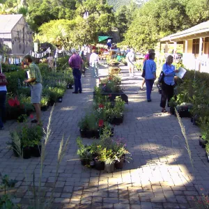 Fall Plant Sale, 2005
