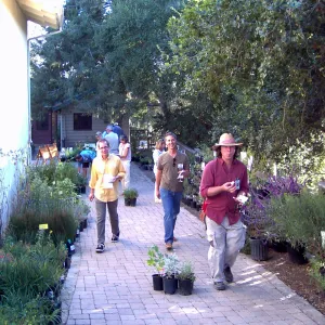 Fall Plant Sale, 2005
