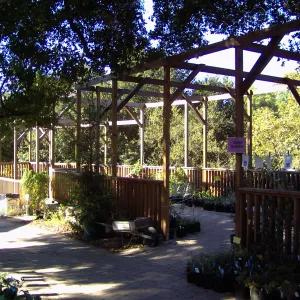 Arbor Terrace, Fall Plant Sale, 2005