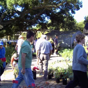 Fall Plant Sale, 2005