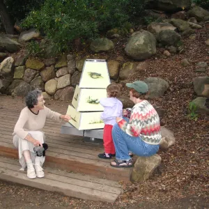Food Web Tower in the Discovery Garden