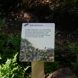 'Oak Leaf Litter' interpretive sign in the Discovery Garden