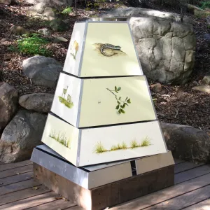 Food Web pyramid in the Discovery Garden