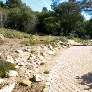 Meadow View garden, pavered path at top of Meadow