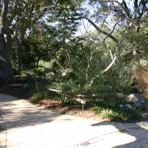 pavered path to the Meadow pond and information kiosk