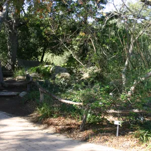 pavered path to the Meadow pond and information kiosk