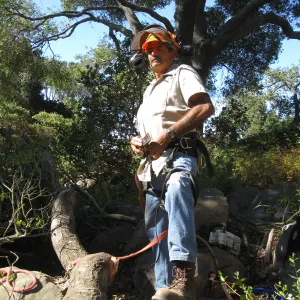 Manuel Gonzales working on the fallen oak tree in the Discovery Garden