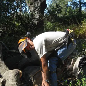 Manuel Gonzales working on the fallen oak tree in the Discovery Garden