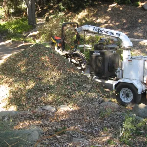 Fallen oak tree in Discovery Garden being chipped