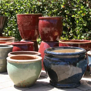 Ceramic pots for sale in the Garden Growers Nursery
