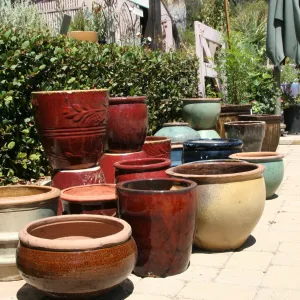 Ceramic pots for sale in the Garden Growers Nursery