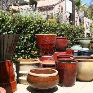 Ceramic pots for sale in the Garden Growers Nursery