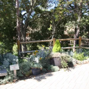 Visitor Entrance to the Garden