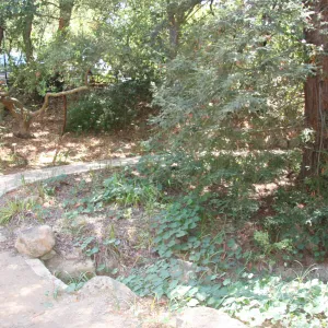 Arroyo Section