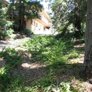Arroyo Section
