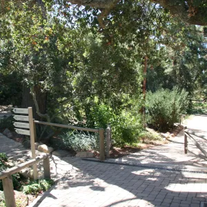 top of the Arroyo Section