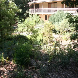 Arroyo Section