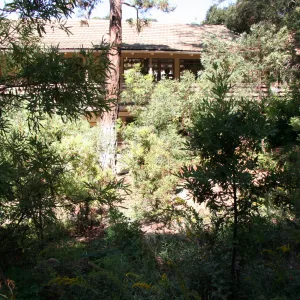 Arroyo Section