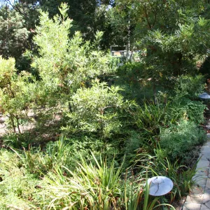 Arroyo Section