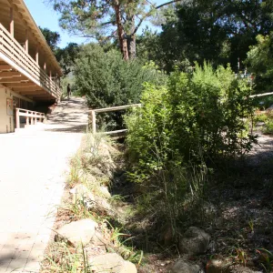 Arroyo Section