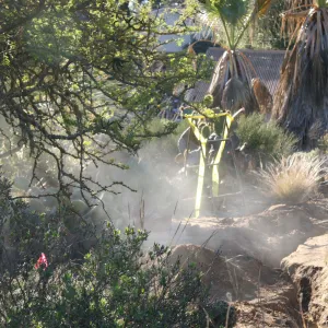 Irrigation construction in the Desert Section