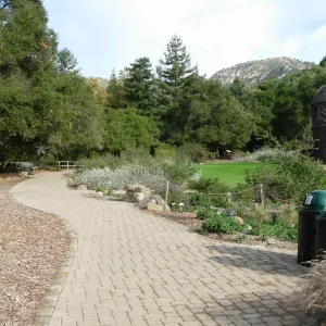 Accessible paving installed along the Meadow, SBBG 2006 Projects