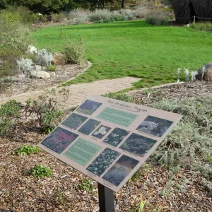 Plant Introduction Program display and signage, SBBG 2006 Projects