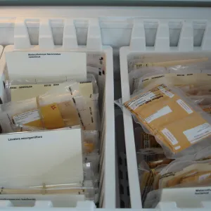 SBBG Conservation seed bank facilities