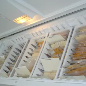 SBBG Conservation seed bank facilities