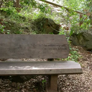 Ruth Holbrook Bench K 32 (Bench #49)